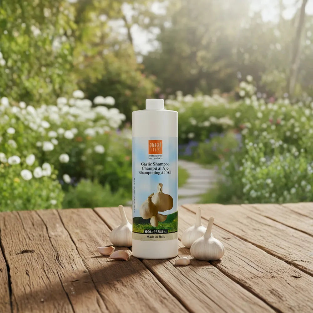 Champú Regenerador al Ajo – Fortalece, Nutre y Revitaliza el Cabello Tratado | 1000/300 ml