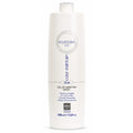 Ever Ego – Champú Silver Protector del Color con Aloe Vera para Cabello Teñido o con Canas 1000ml