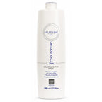 Ever Ego – Champú Silver Protector del Color con Aloe Vera para Cabello Teñido o con Canas 1000ml