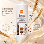 Champú de Semillas de Lino – Nutrición y Luminosidad Profesional | 1000 ml