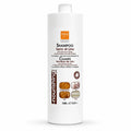 Champú de Semillas de Lino – Nutrición y Luminosidad Profesional | 1000 ml