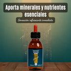 Tratamiento Energizante “Hierba Fresca” – Revitalización y Refrescante Capilar | 125 ml