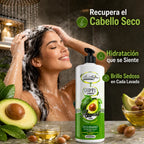 Be´Shyne – Champú Hidratante con Aguacate y Aceite de Argán para Cabello Seco y Frágil 1L